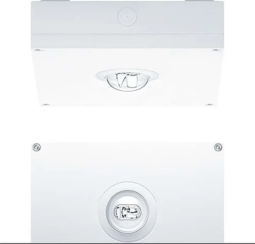 elektrotresen3-665745