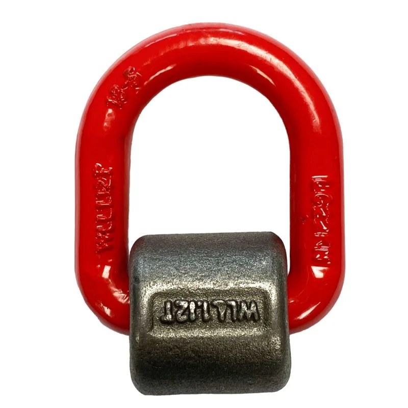 sasseil-27897