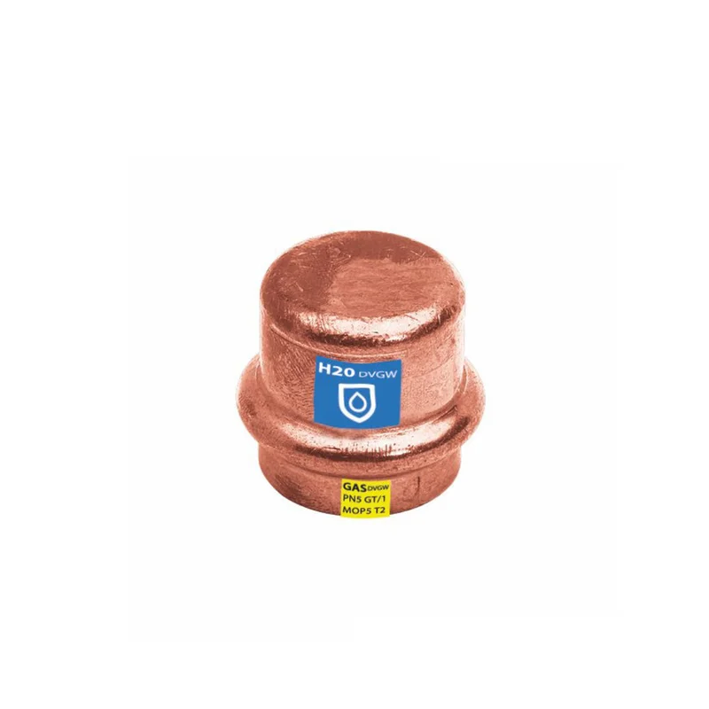 shop.doenges-rs1-171676