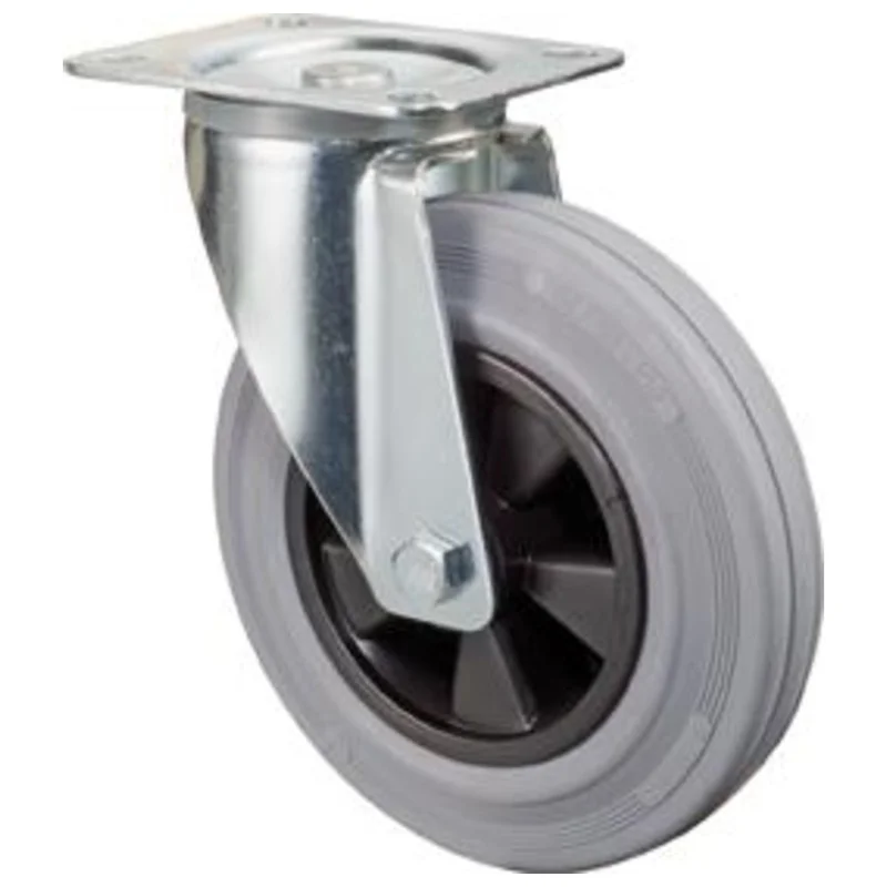 shop.doenges-rs1-241161