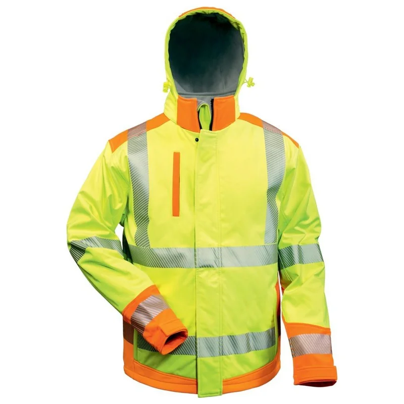 shop.doenges-rs1-255047