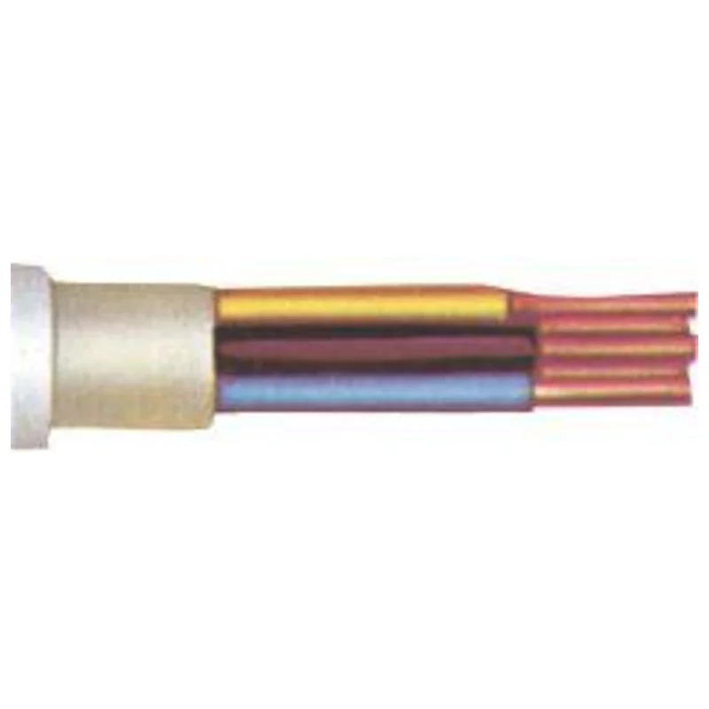 shop.doenges-rs1-266113
