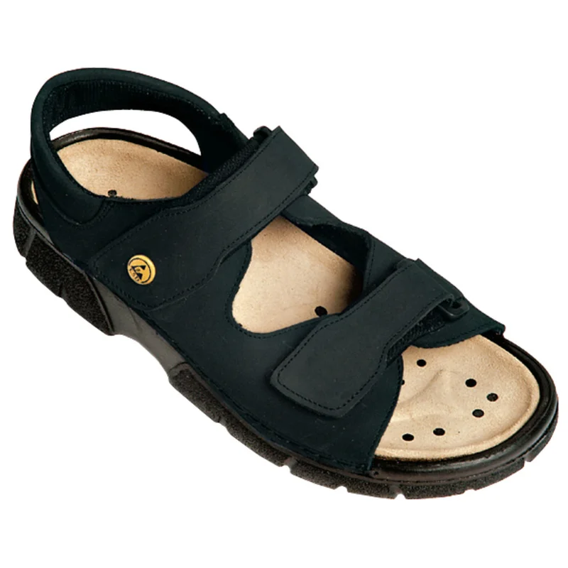 shop.doenges-rs1-267288
