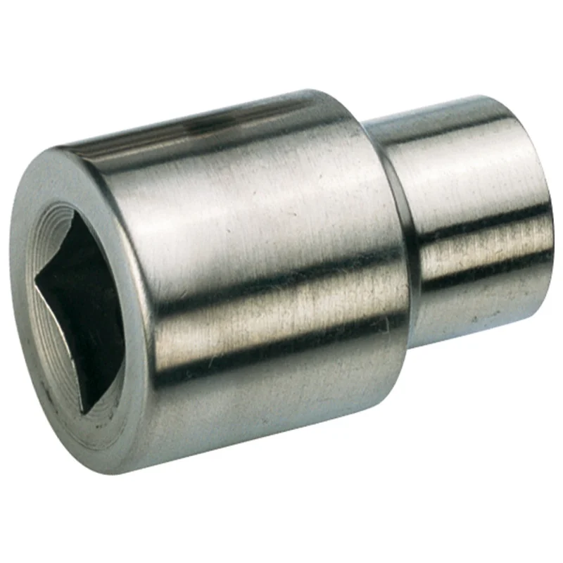 shop.doenges-rs1-268576