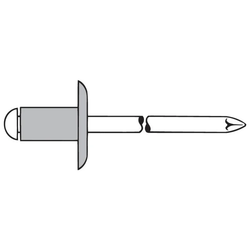 shop.doenges-rs1-269971