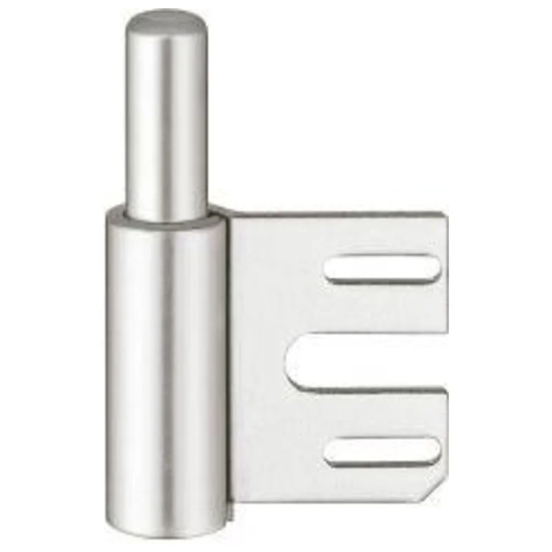 shop.doenges-rs1-272162