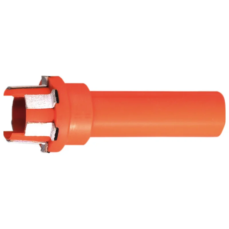 shop.doenges-rs1-278086