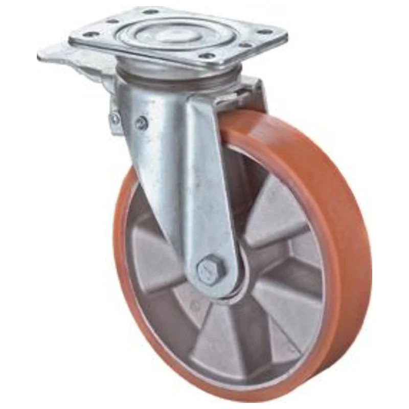 shop.doenges-rs1-279112