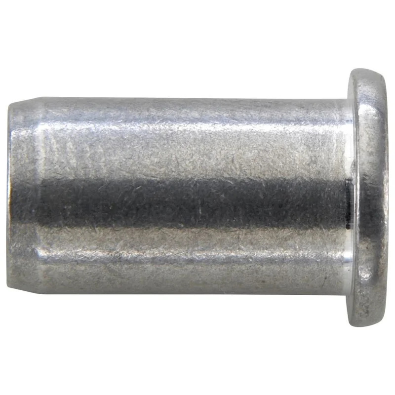 shop.doenges-rs1-279740