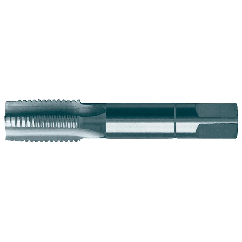shop.doenges-rs1-279980