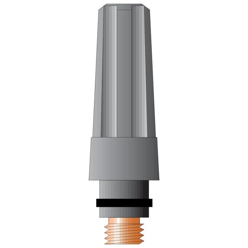 shop.doenges-rs1-280552