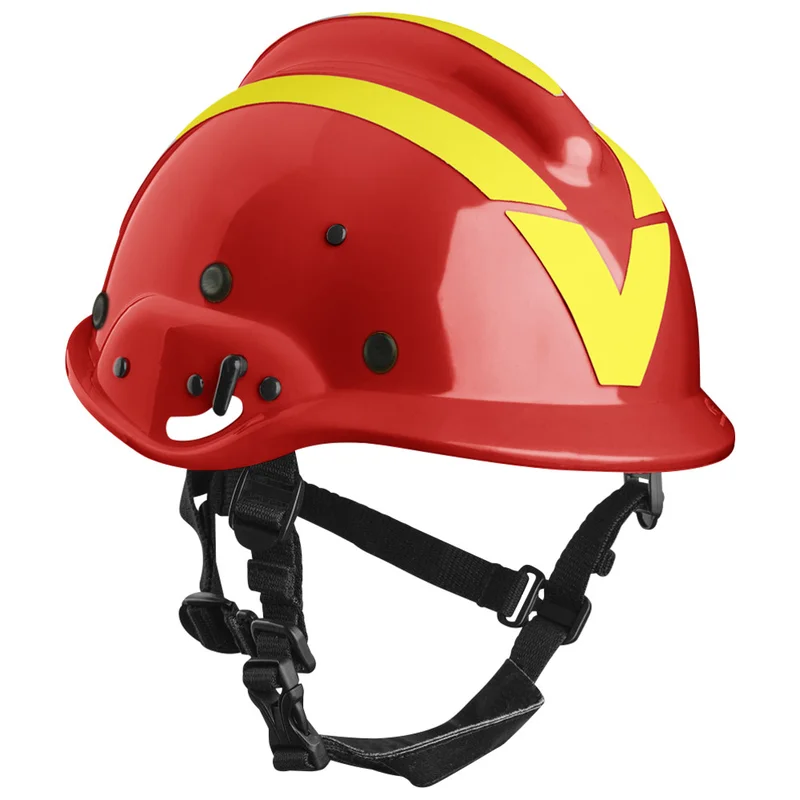 shop.doenges-rs1-282304