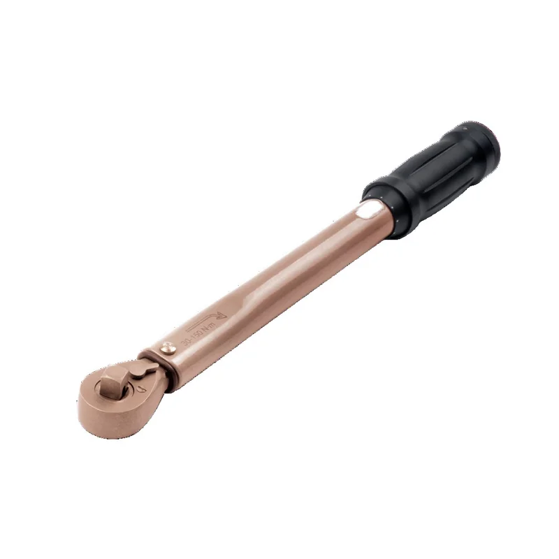 shop.doenges-rs1-282803