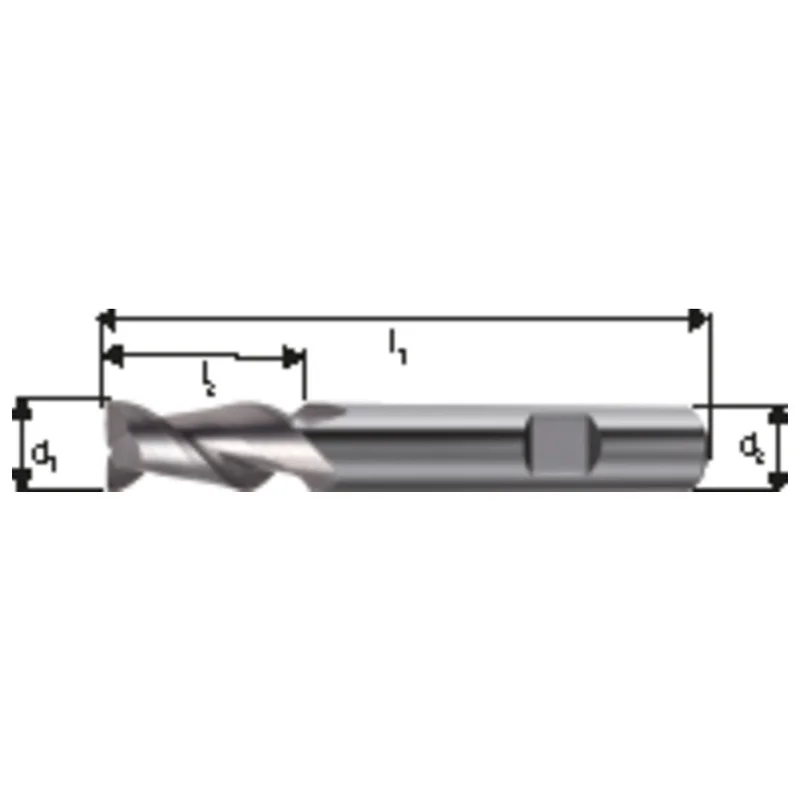 shop.doenges-rs1-287474