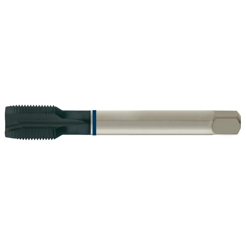 shop.doenges-rs1-287747