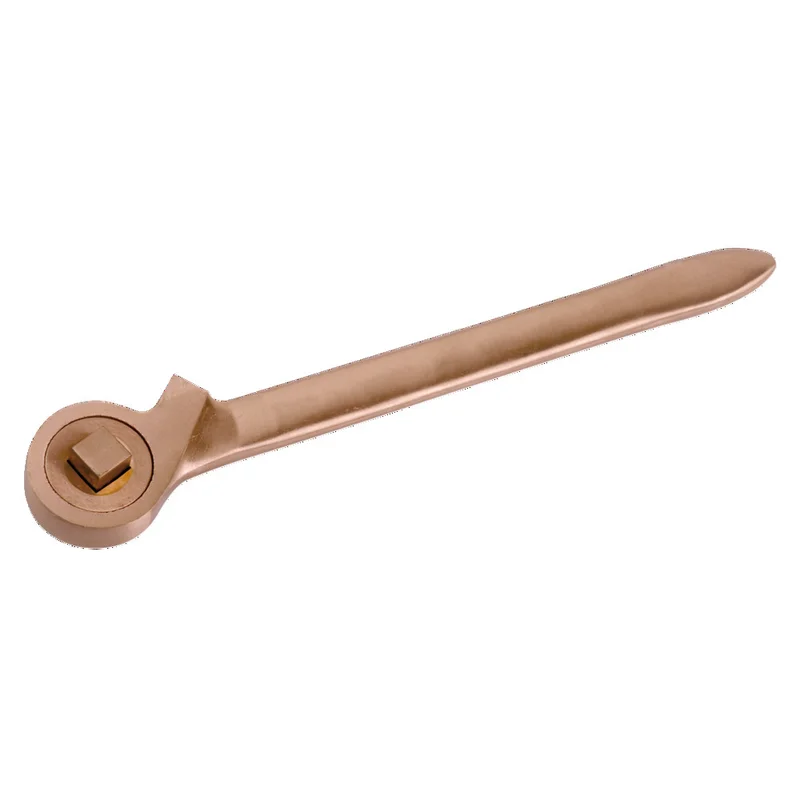 shop.doenges-rs1-290257