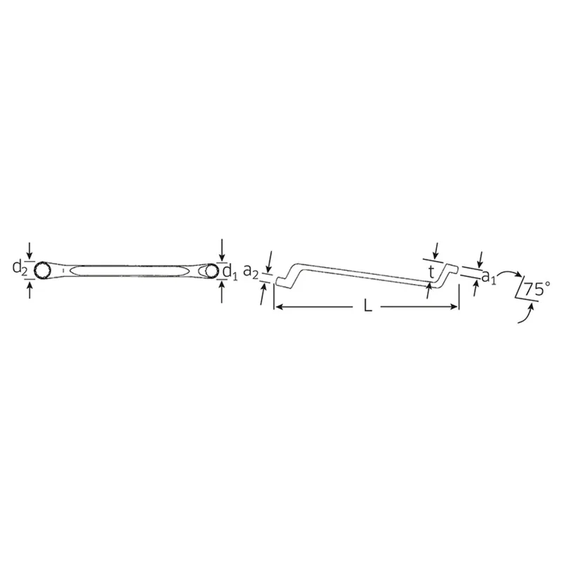 shop.doenges-rs1-290872
