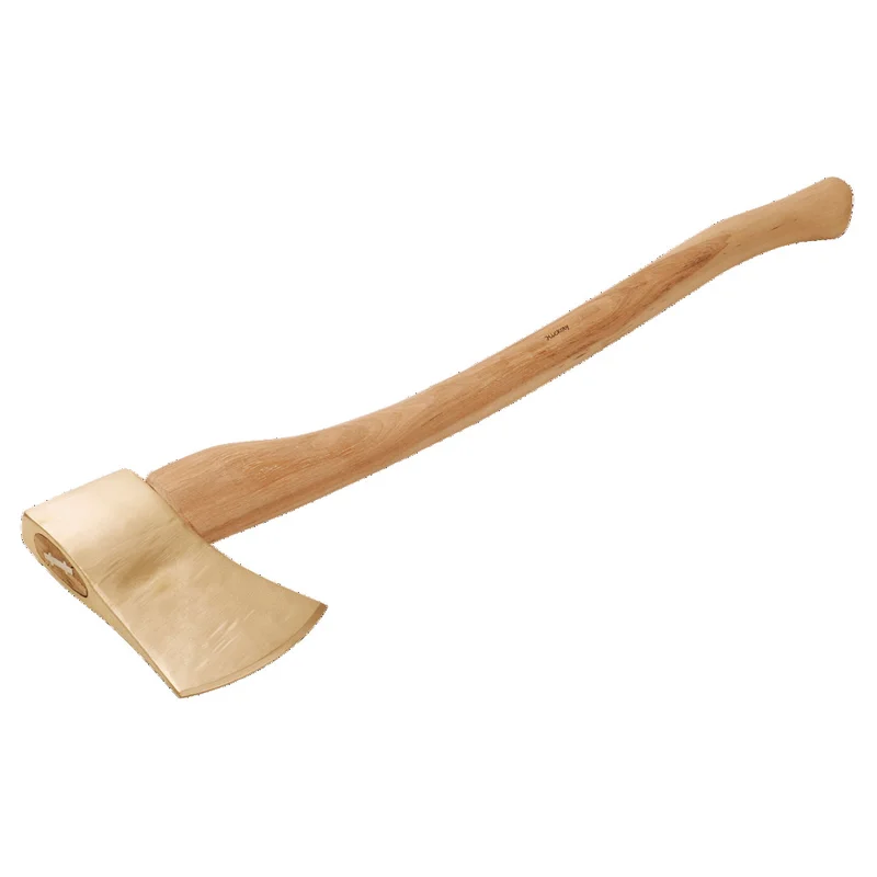 shop.doenges-rs1-291947