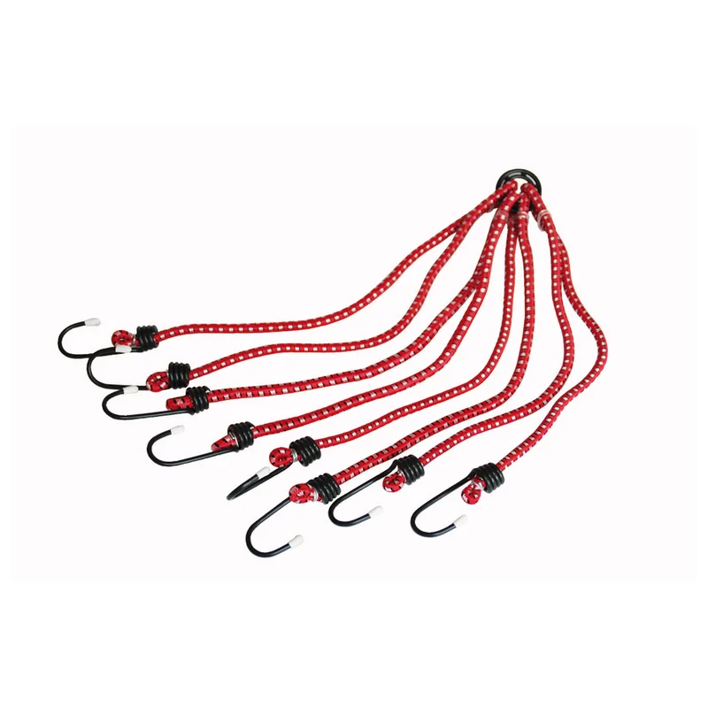 shop.doenges-rs1-293497