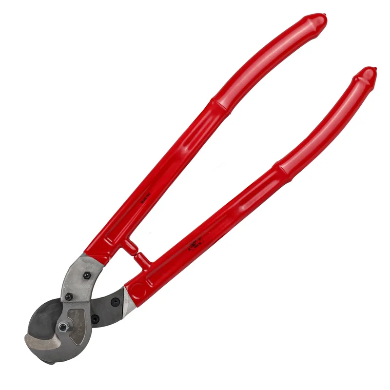 shop.doenges-rs1-294659