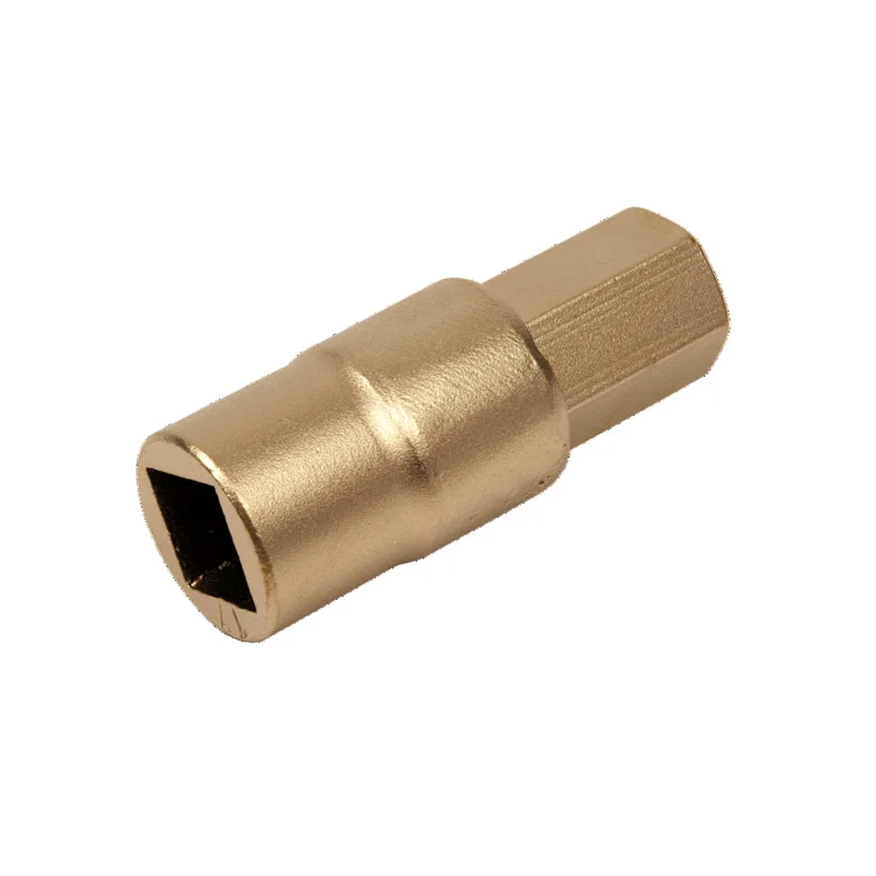 shop.doenges-rs1-295066