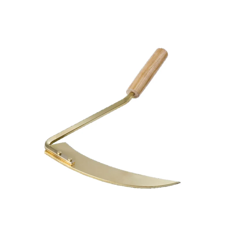 shop.doenges-rs1-297275