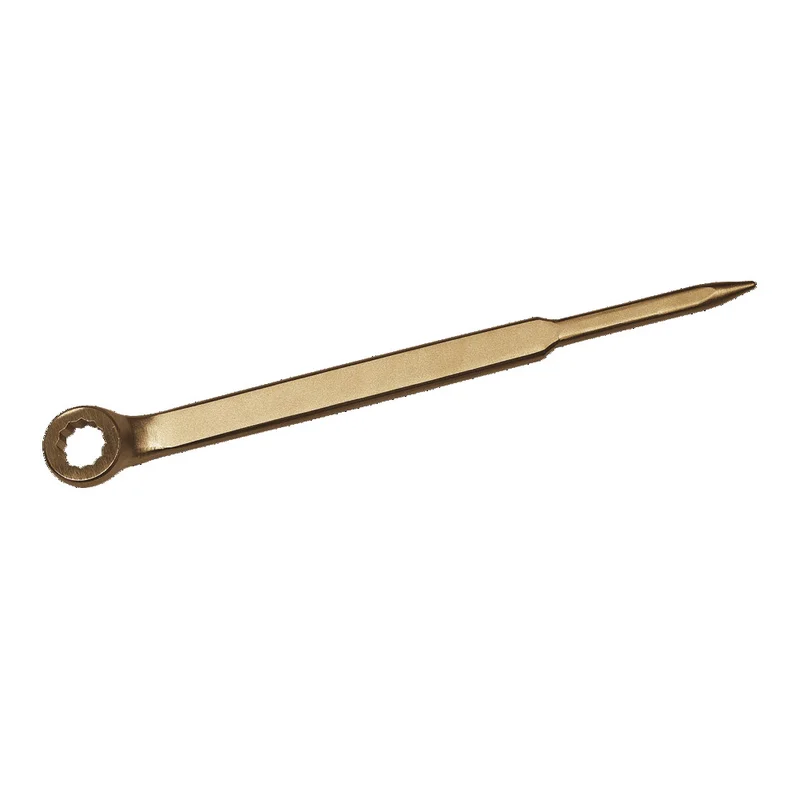 shop.doenges-rs1-300213
