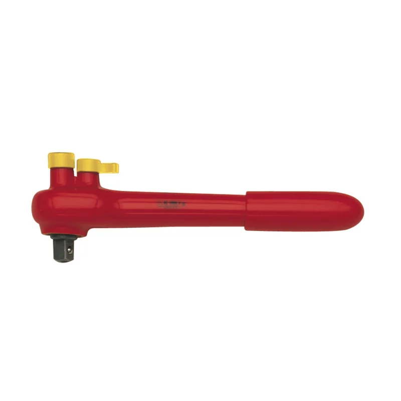 shop.doenges-rs1-301418