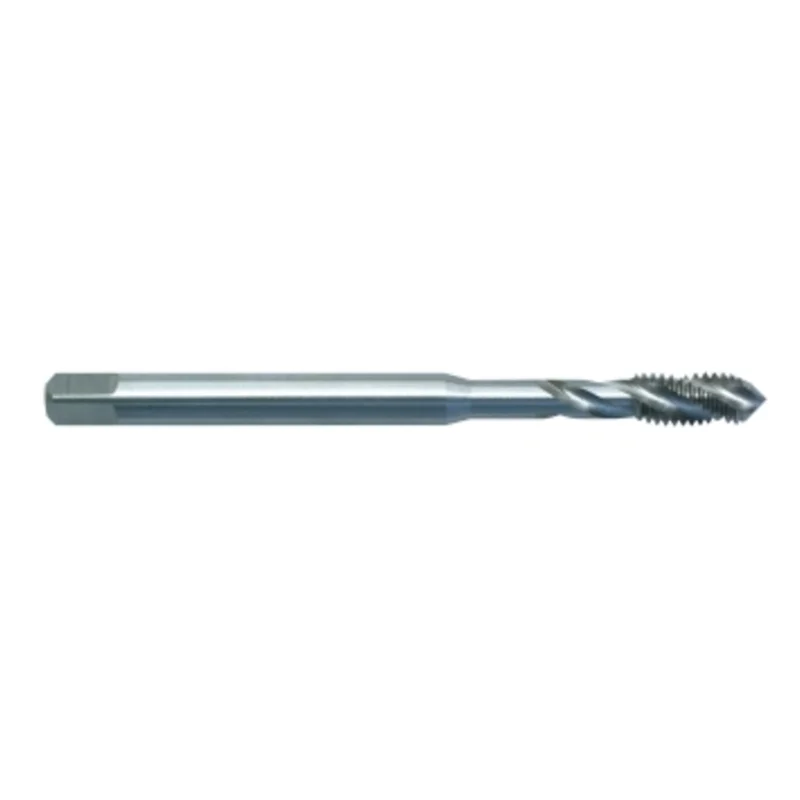 shop.doenges-rs1-301840