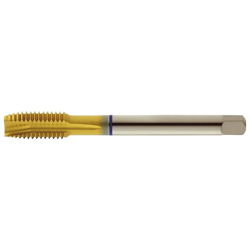 shop.doenges-rs1-303417
