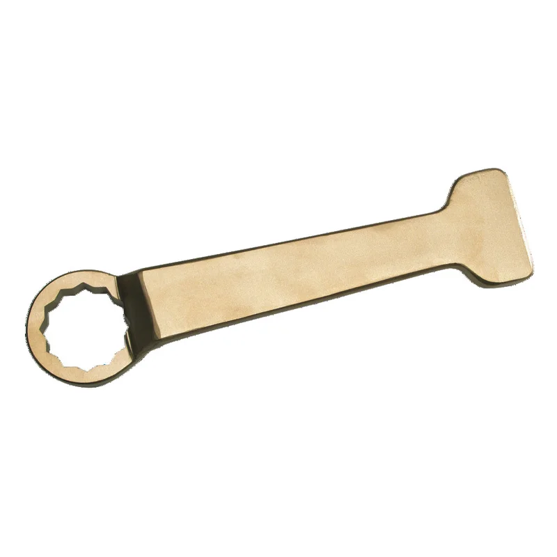 shop.doenges-rs1-324076