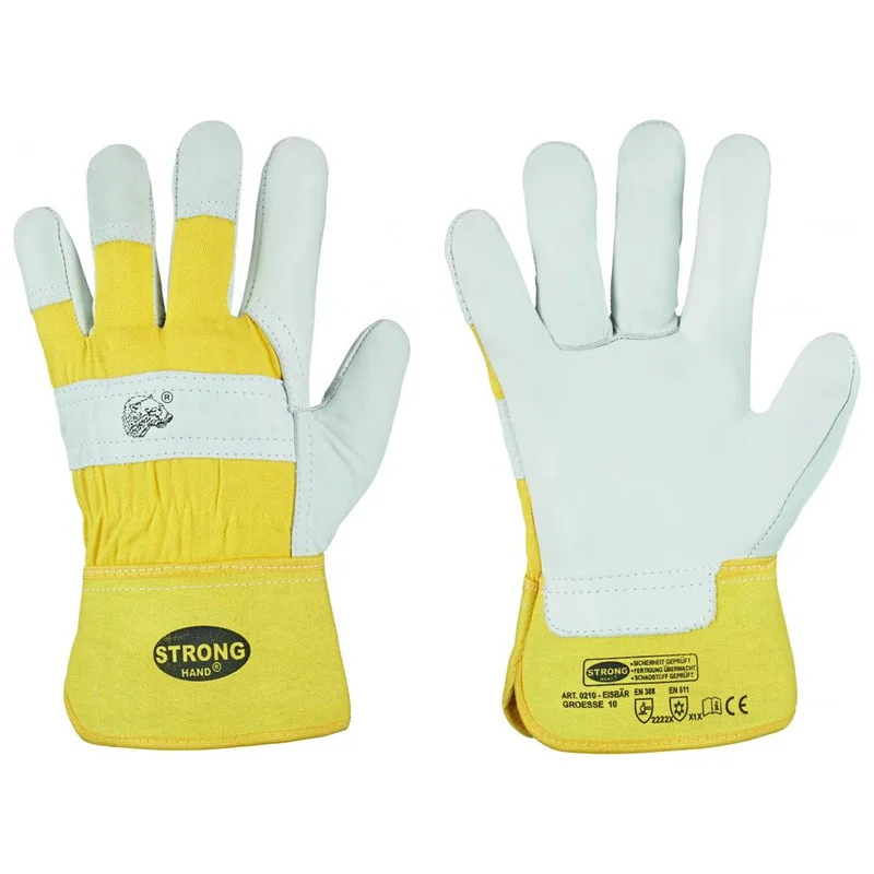 shop.doenges-rs1-356284