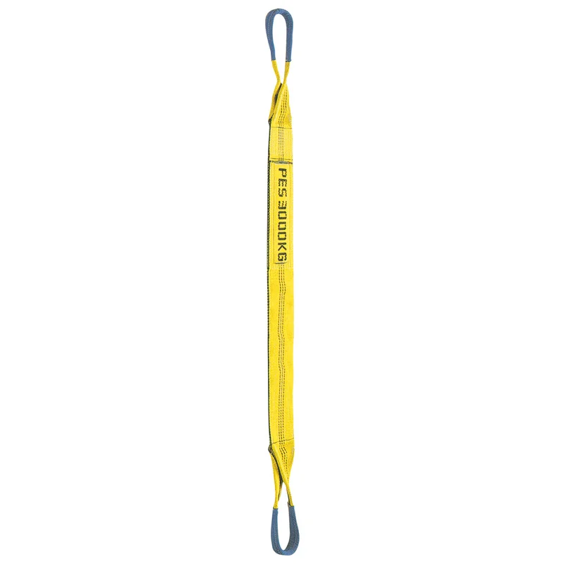 shop.doenges-rs1-357179