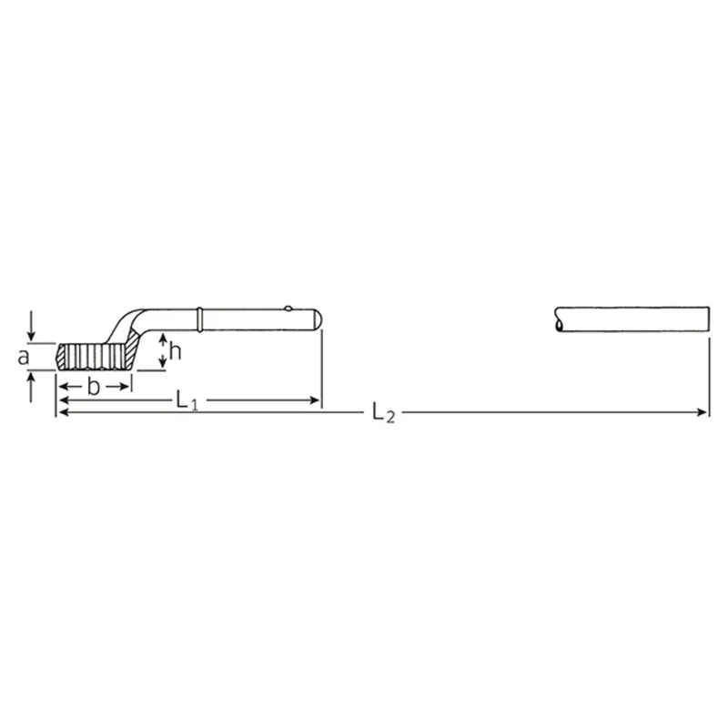shop.doenges-rs1-366158