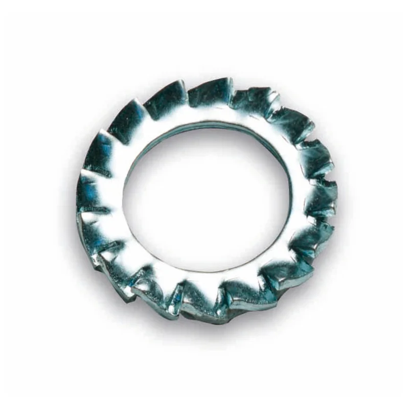 shop.doenges-rs1-391538