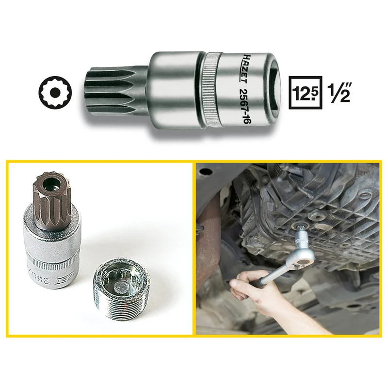 shop.doenges-rs1-393072