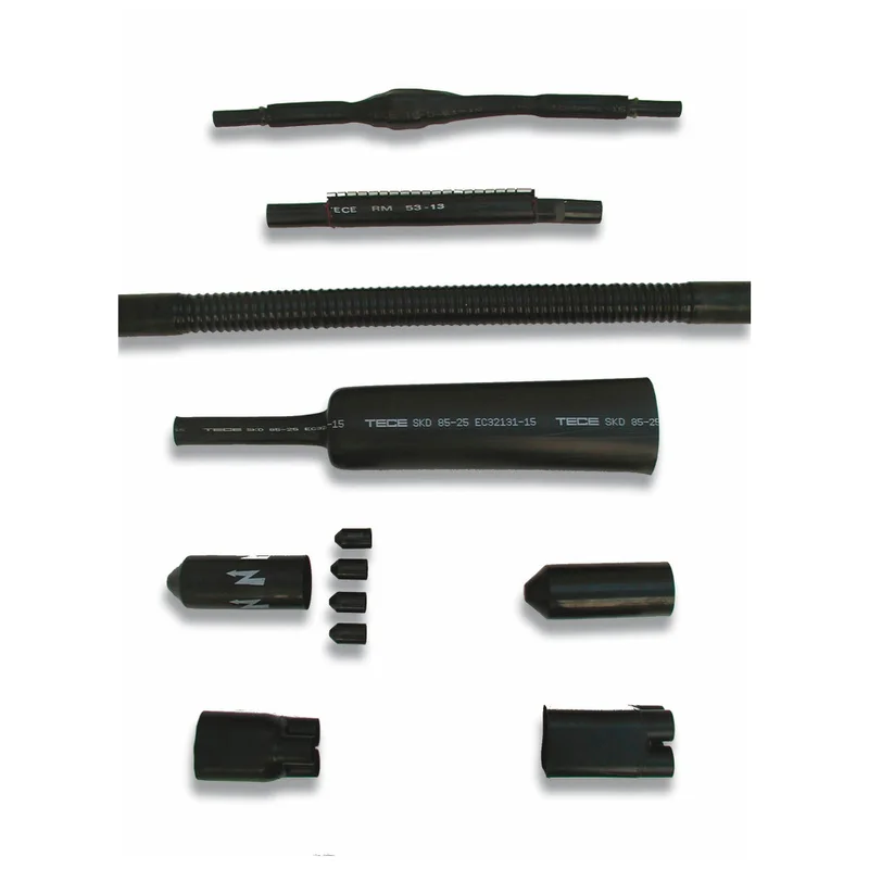 shop.doenges-rs1-393308