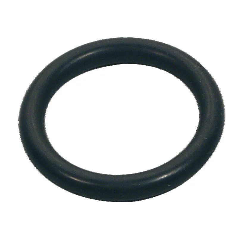 shop.doenges-rs1-394841
