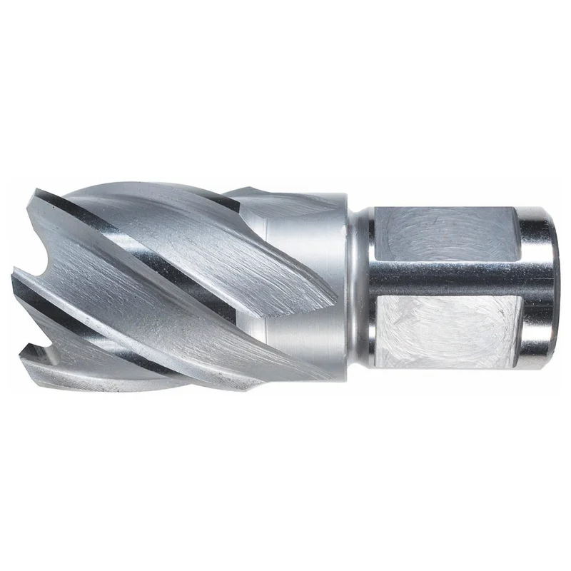 shop.doenges-rs1-396014