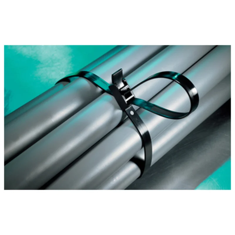 shop.doenges-rs1-399657