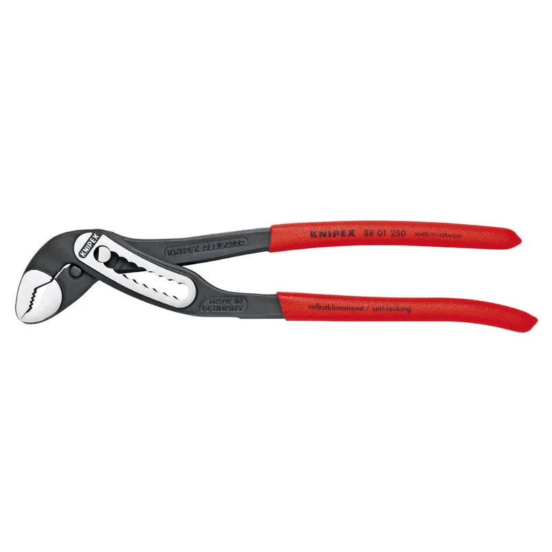 shop.doenges-rs1-403406