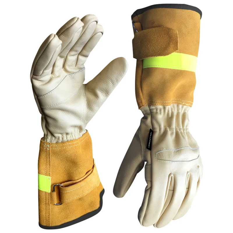 shop.doenges-rs1-403530