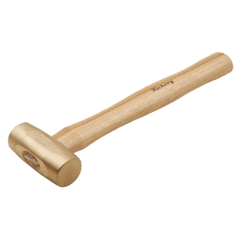 shop.doenges-rs1-406067