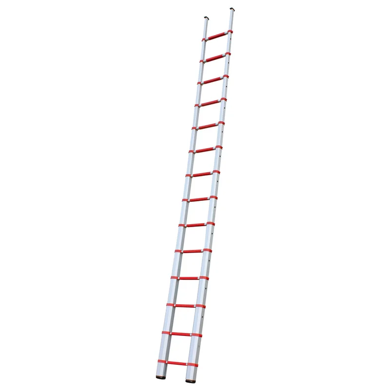 shop.doenges-rs1-407095
