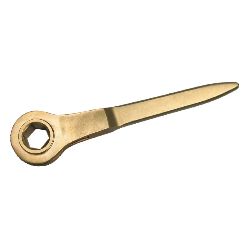 shop.doenges-rs1-415589