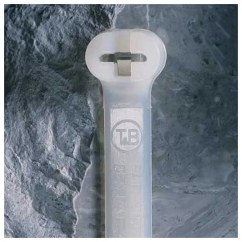 shop.doenges-rs2-153129