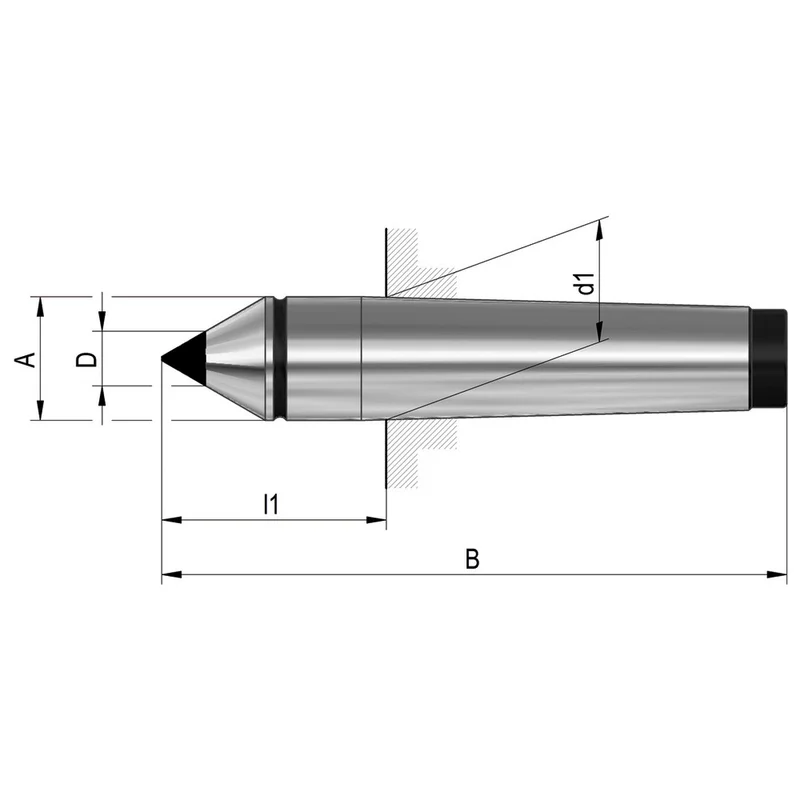 shop.doenges-rs2-160736