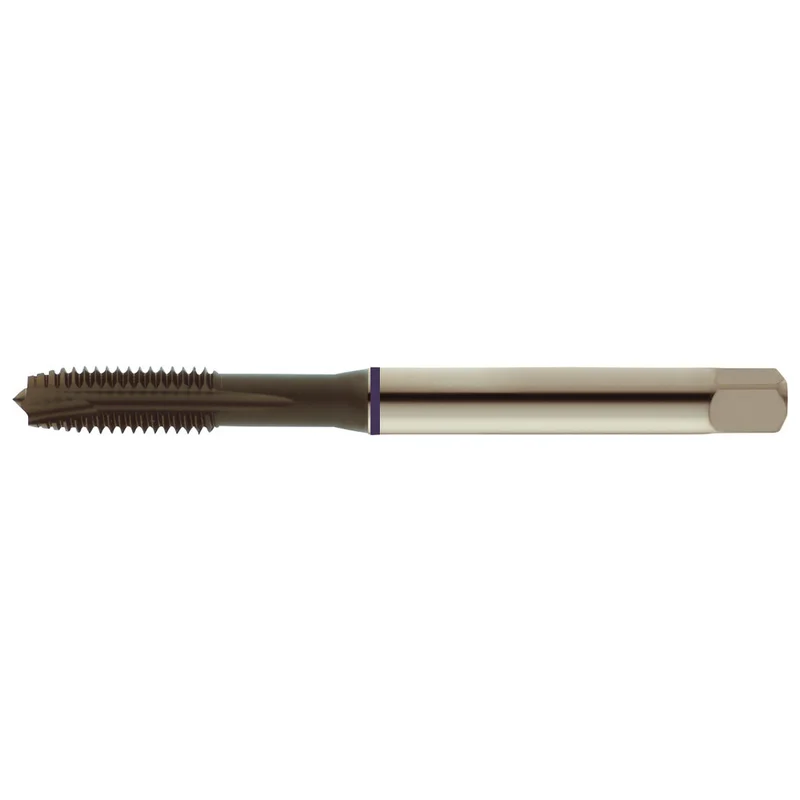 shop.doenges-rs2-167937