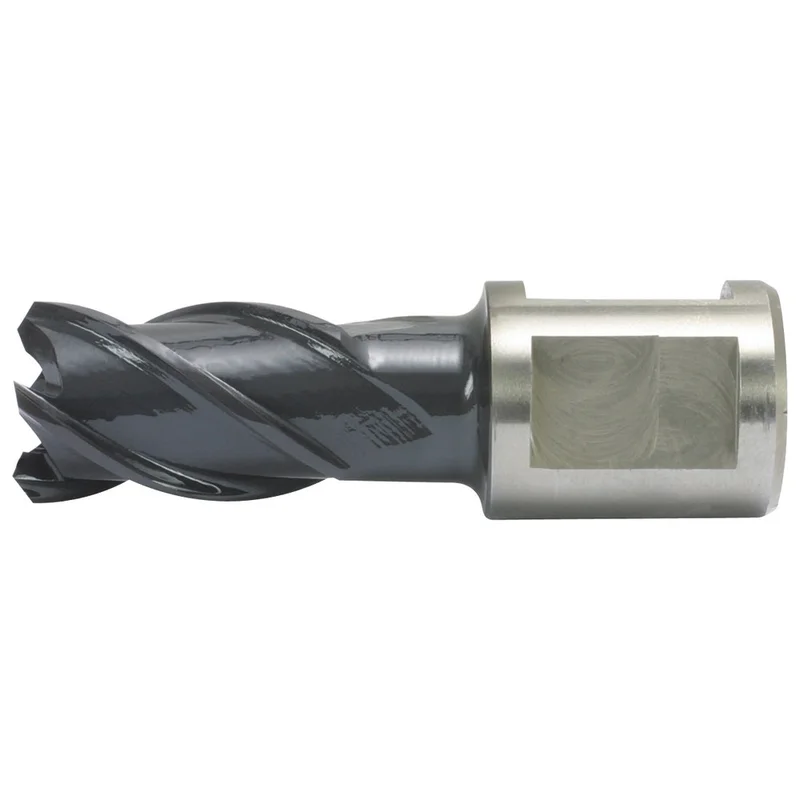 shop.doenges-rs2-221560