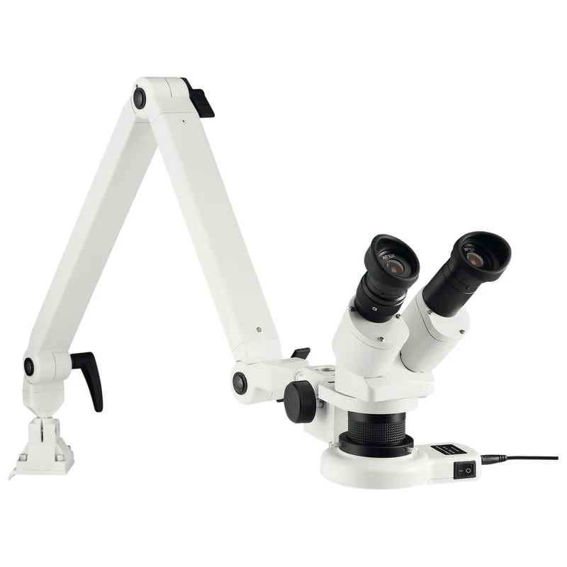 shop.doenges-rs2-268769